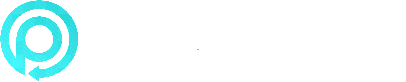 Passport365